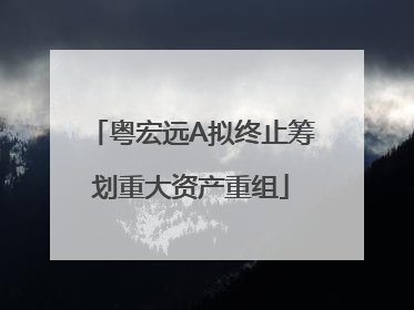 粤宏远A拟终止筹划重大资产重组