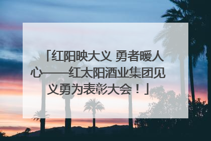 红阳映大义 勇者暖人心——红太阳酒业集团见义勇为表彰大会！