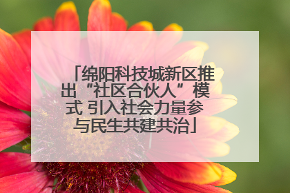绵阳科技城新区推出“社区合伙人”模式 引入社会力量参与民生共建共治