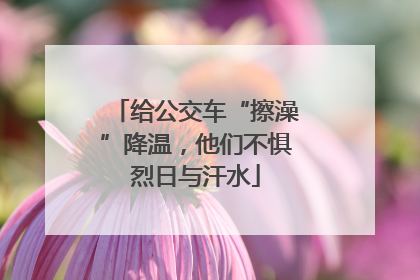 给公交车“擦澡”降温，他们不惧烈日与汗水