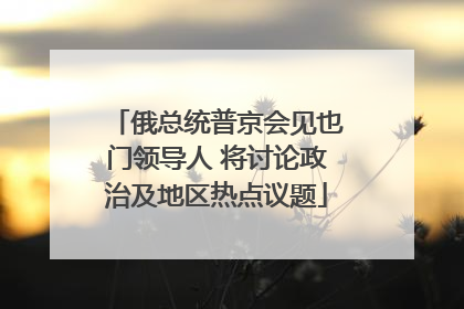 俄总统普京会见也门领导人 将讨论政治及地区热点议题