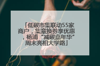 低碳市集联动55家商户，集章换券享优惠，杨浦“减碳嘉年华”周末亮相大学路