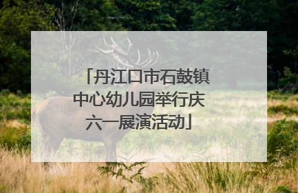丹江口市石鼓镇中心幼儿园举行庆六一展演活动