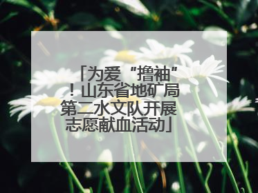 为爱“撸袖”！山东省地矿局第二水文队开展志愿献血活动