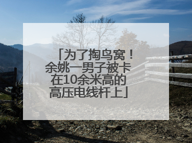 为了掏鸟窝！余姚一男子被卡在10余米高的高压电线杆上