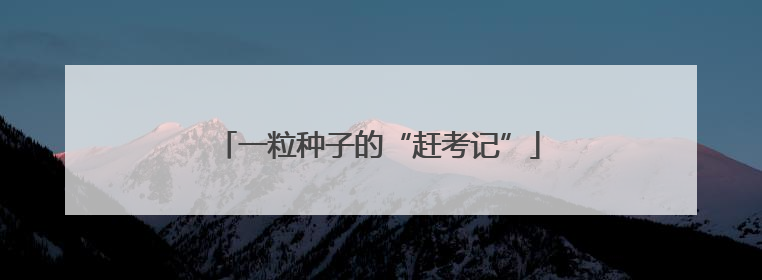一粒种子的“赶考记”
