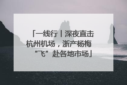 一线行丨深夜直击杭州机场，浙产杨梅“飞”赴各地市场