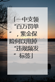 一中支领“百万罚单”，紫金保险何以甩掉“违规频发”标签