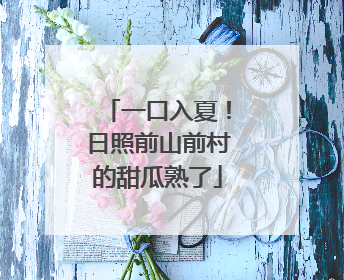 一口入夏！日照前山前村的甜瓜熟了