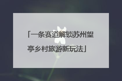 一条赛道解锁苏州望亭乡村旅游新玩法