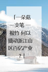 一朵菇 一支笔 一根竹 何以撬动浙江山区百亿产业？