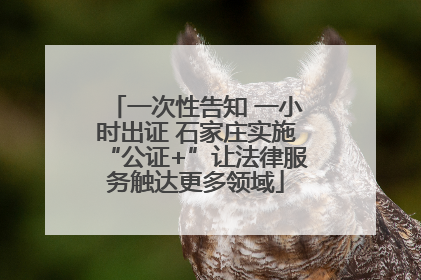 一次性告知 一小时出证 石家庄实施“公证+”让法律服务触达更多领域