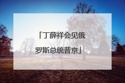 丁薛祥会见俄罗斯总统普京