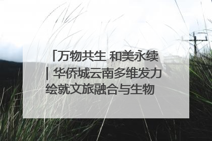 万物共生 和美永续｜华侨城云南多维发力 绘就文旅融合与生物多样性保护新图景