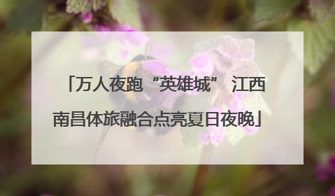 万人夜跑“英雄城” 江西南昌体旅融合点亮夏日夜晚