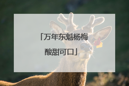 万年东魁杨梅 酸甜可口