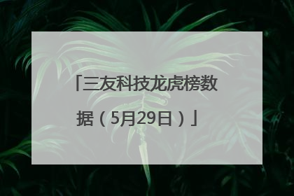 三友科技龙虎榜数据（5月29日）