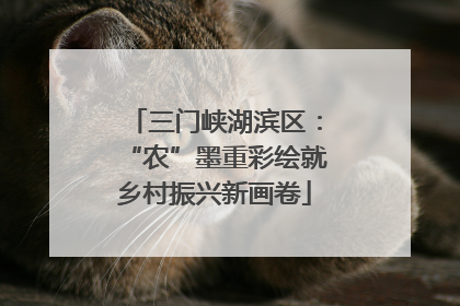 三门峡湖滨区：“农”墨重彩绘就乡村振兴新画卷