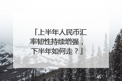 上半年人民币汇率韧性持续增强，下半年如何走？