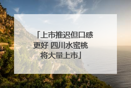 上市推迟但口感更好 四川水蜜桃将大量上市