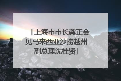 上海市市长龚正会见马来西亚沙捞越州副总理沈桂贤