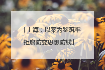 上海：以案为鉴筑牢拒腐防变思想防线