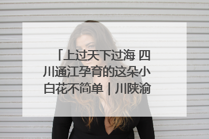 上过天下过海 四川通江孕育的这朵小白花不简单｜川陕渝网络名人巴中行