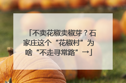 不卖花椒卖椒芽？石家庄这个“花椒村”为啥“不走寻常路”→