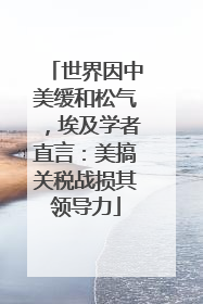 世界因中美缓和松气，埃及学者直言：美搞关税战损其领导力