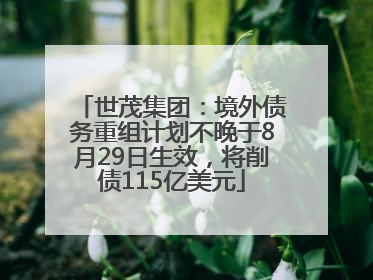 世茂集团：境外债务重组计划不晚于8月29日生效，将削债115亿美元