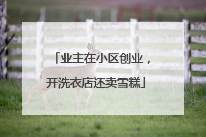 业主在小区创业，开洗衣店还卖雪糕