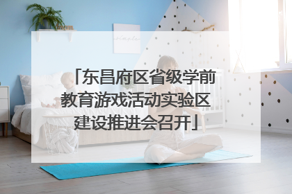 东昌府区省级学前教育游戏活动实验区建设推进会召开