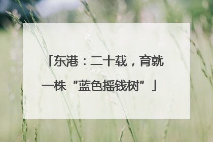 东港：二十载，育就一株“蓝色摇钱树”