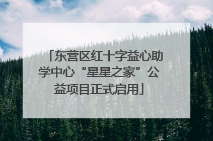 东营区红十字益心助学中心“星星之家”公益项目正式启用
