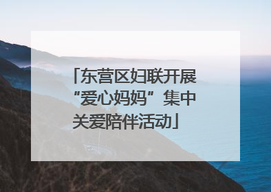 东营区妇联开展“爱心妈妈”集中关爱陪伴活动