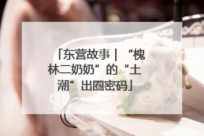 东营故事｜“槐林二奶奶”的“土潮”出圈密码