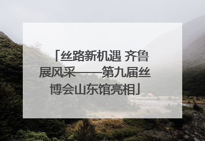 丝路新机遇 齐鲁展风采——第九届丝博会山东馆亮相