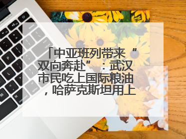 中亚班列带来“双向奔赴”：武汉市民吃上国际粮油，哈萨克斯坦用上鄂产光电屏