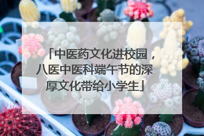 中医药文化进校园，八医中医科端午节的深厚文化带给小学生