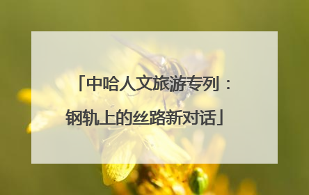 中哈人文旅游专列：钢轨上的丝路新对话