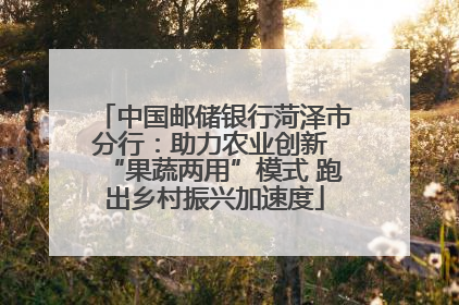 中国邮储银行菏泽市分行：助力农业创新 “果蔬两用”模式 跑出乡村振兴加速度