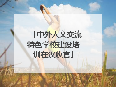 中外人文交流特色学校建设培训在汉收官