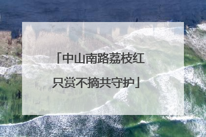 中山南路荔枝红 只赏不摘共守护