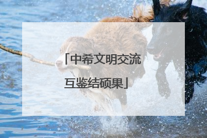 中希文明交流互鉴结硕果