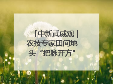 中新武威观｜农技专家田间地头“把脉开方”送“及时雨”