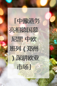 中豫港务亮相德国慕尼黑 中欧班列（郑州）深耕欧亚市场