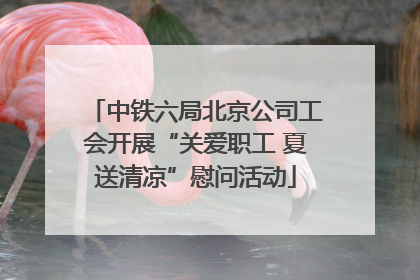中铁六局北京公司工会开展“关爱职工 夏送清凉”慰问活动