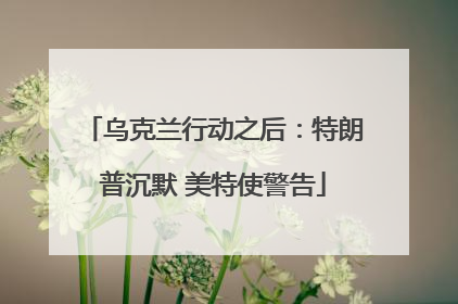 乌克兰行动之后：特朗普沉默 美特使警告