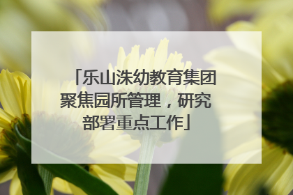 乐山洙幼教育集团聚焦园所管理，研究部署重点工作