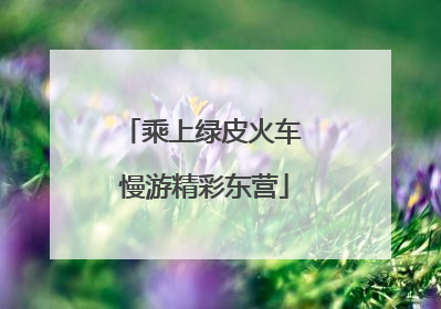 乘上绿皮火车 慢游精彩东营